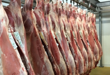 carne.jpg
