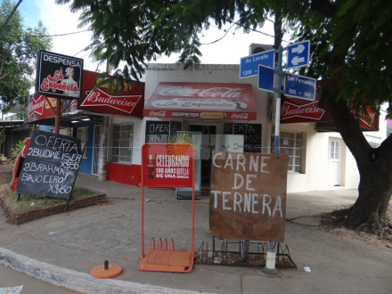 kisoco.jpg