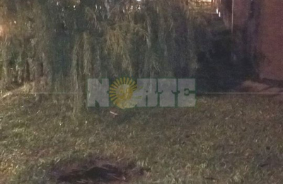 Escapó del hospital Perrando tras dar a luz y abandonó a su bebé al lado de un poste