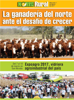 La ganadería del norte ante el desafío de crecer