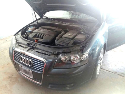 audi2.jpg
