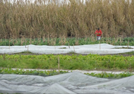 AGROECOLOGIA2.jpg