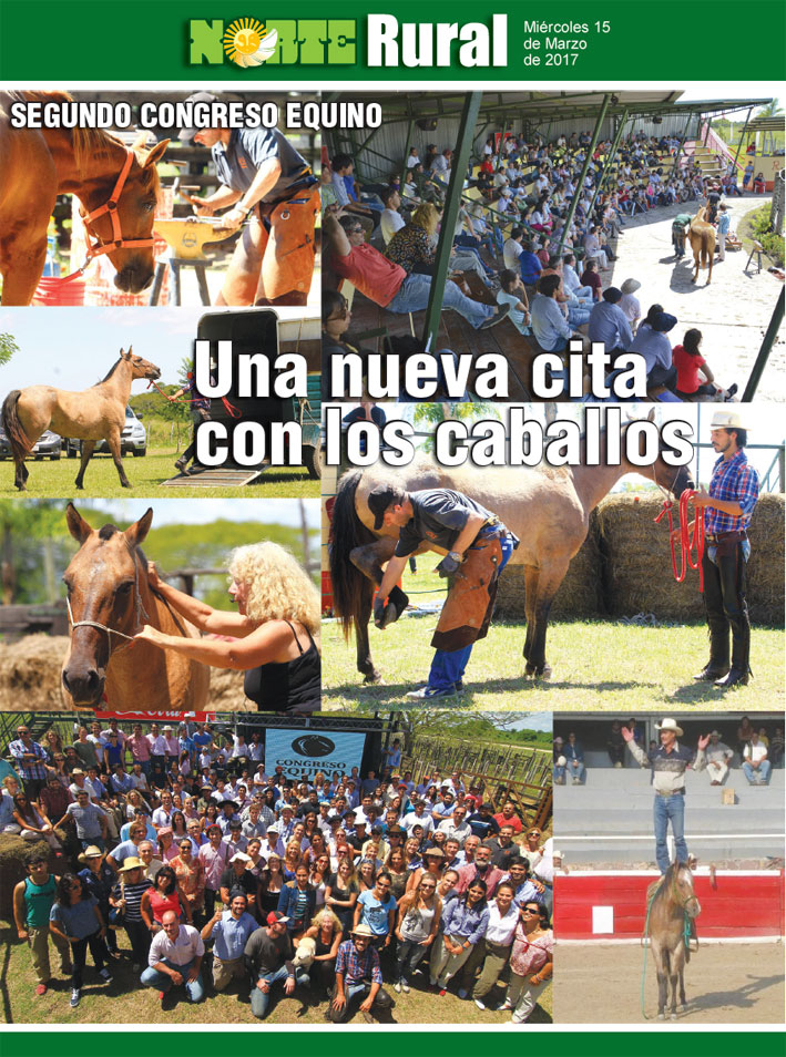 Una nueva cita con los caballos
