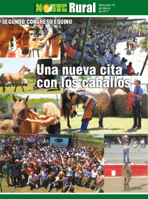 Una nueva cita con los caballos