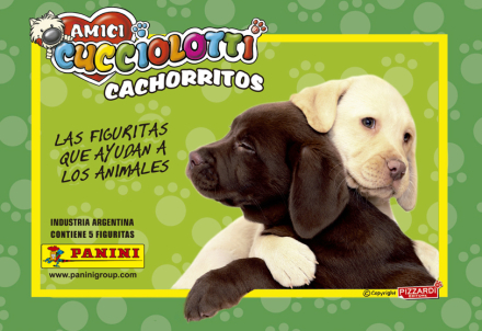 panini.jpg