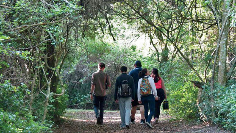 Curso para guías de naturaleza, la propuesta de Los Chaguares y la UNNE
