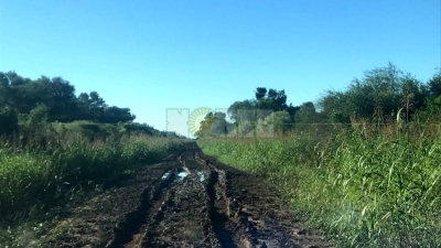 Productores del norte reclaman por el deplorable estado de la vieja traza de la ruta 95