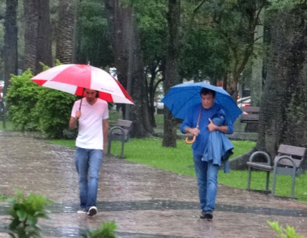 LLUVIA24.jpg