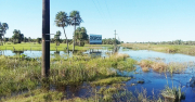 Campo inundado.jpg