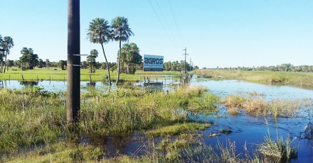 Campo inundado.jpg