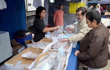 pescado.jpg