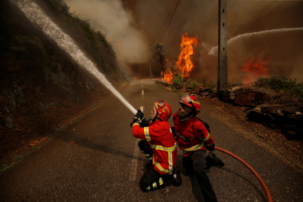 fuego2.jpg