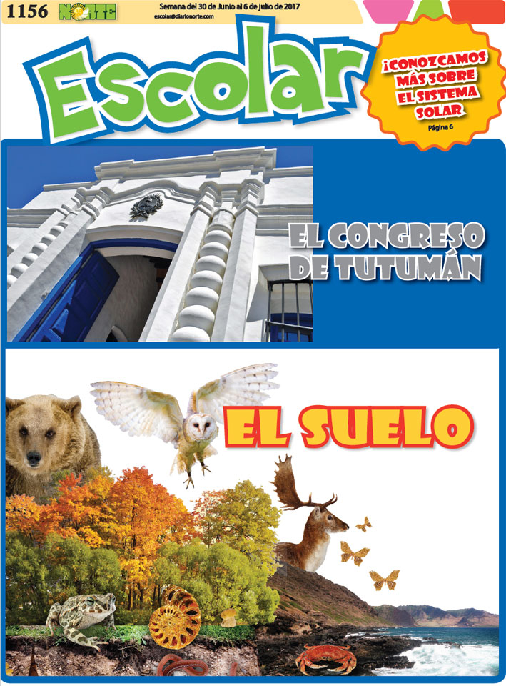 El suelo