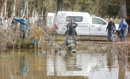 represa2.jpg