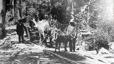 El palocarril en el Chaco