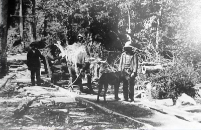 El palocarril en el Chaco 