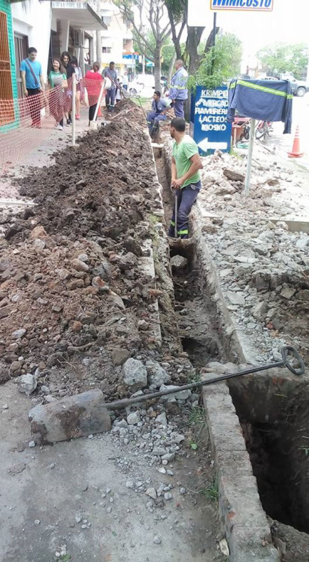 vereda3.jpg