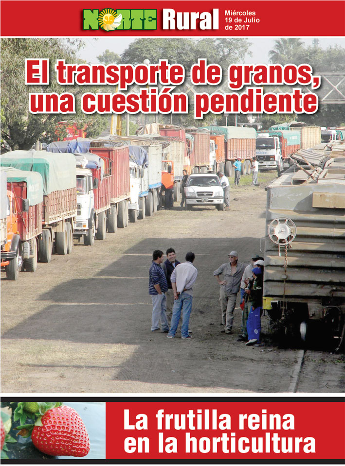 El transporte de granos, una cuestión pendiente