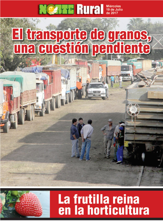El transporte de granos, una cuestión pendiente