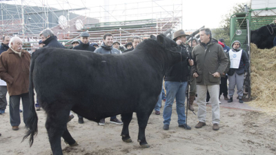 Arranca la muestra del campo más importante del país durante 12 días en Palermo
