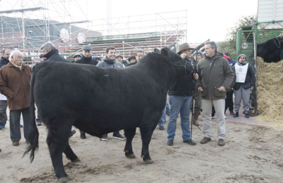 Arranca la muestra del campo más importante del país durante 12 días en Palermo