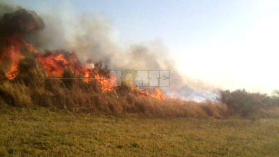 Incendios forestales también generan pérdida económica a los Bomberos Voluntarios