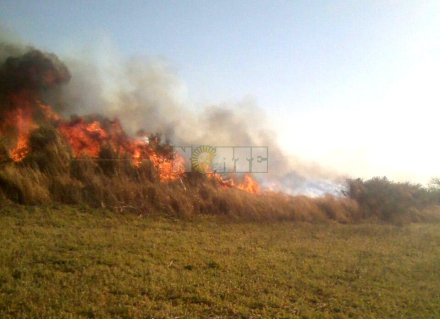 58incendios.jpeg