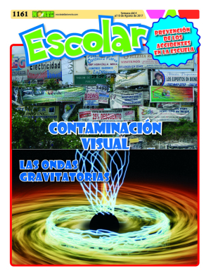 Contaminación visual