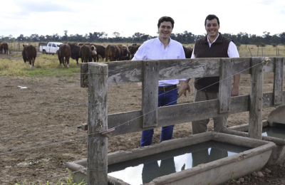 Cosecha de agua: el ingenio que permite  una ganadería a gran escala en el Chaco