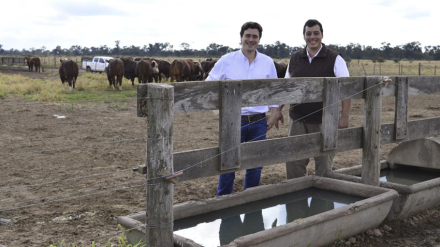 cosecha de agua.jpg
