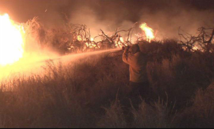 58-INCENDIO-FORESTAL-2.jpg