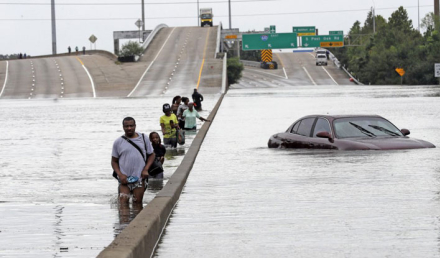 harvey5.jpg