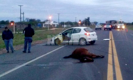 caballo en la ruta1.jpg
