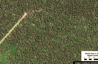 La carretera que corta el corazón de la Amazonía peruana