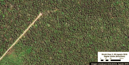 amazonia1.jpg