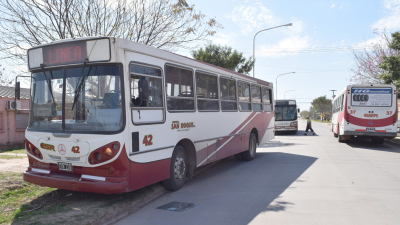 Otra vez atacaron colectivos urbanos: destruyeron varios vidrios
