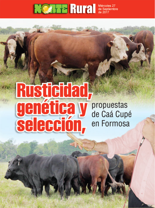 Rusticidad, genética y selección: propuestas de Caá Cupé en Formosa