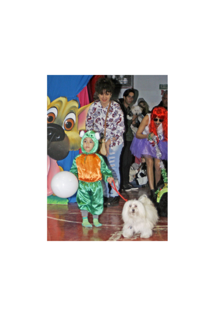 mascotas 5.jpg