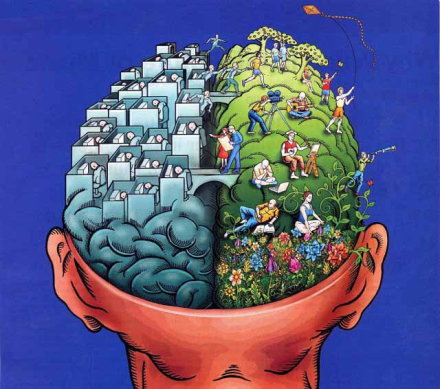 cerebro deporte.jpg