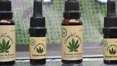 Uruguay exportará aceite de cannabis medicinal
