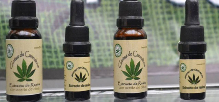ninos-cannabis-4.jpg