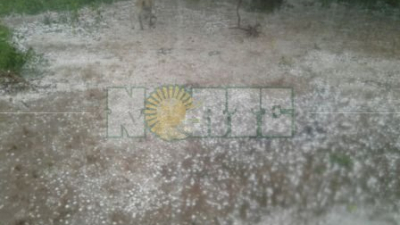 El granizo destruyó la siembra en Pampa de Indio