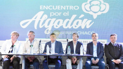 Para Domingo Peppo el algodón es la bandera de desarrollo del Chaco
