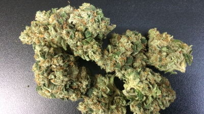 Se triplica número de consumidores registrados de marihuana legal en Uruguay