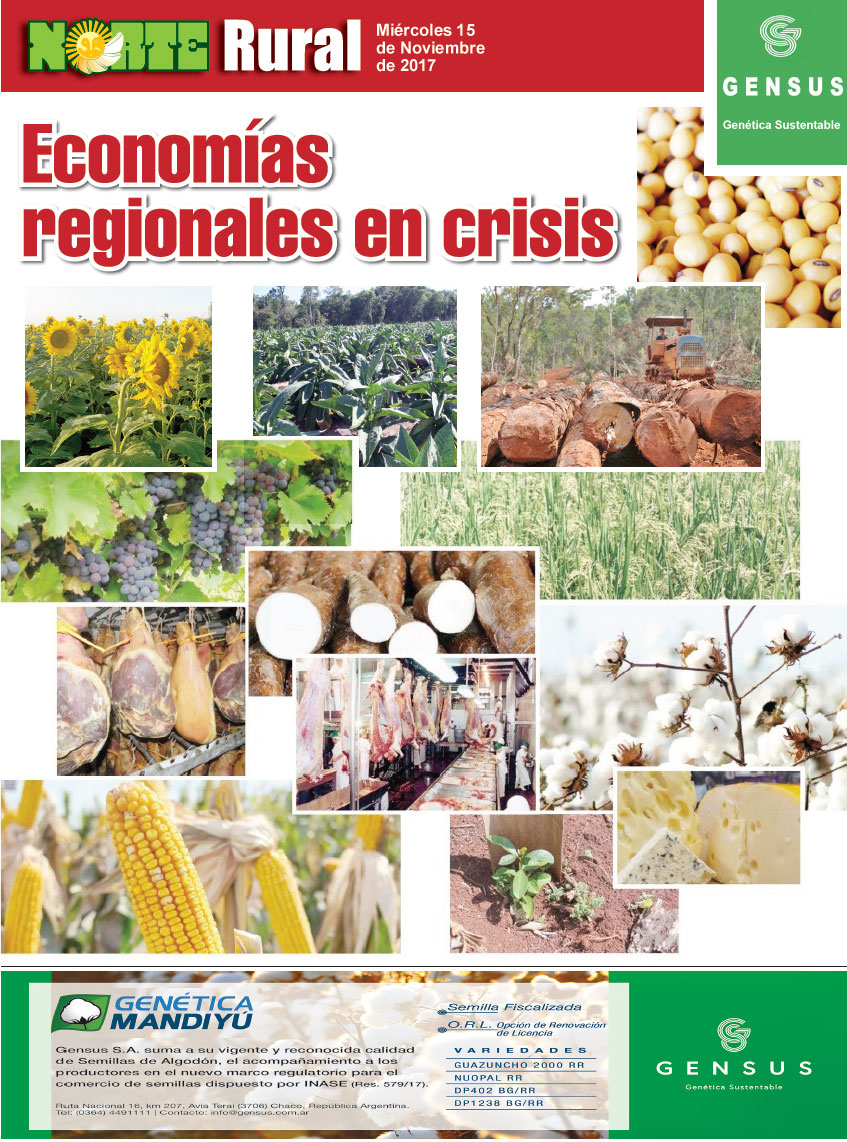 Economías regionales en crisis
