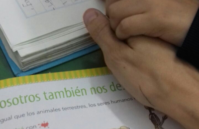 Integración educativa: un desafío social