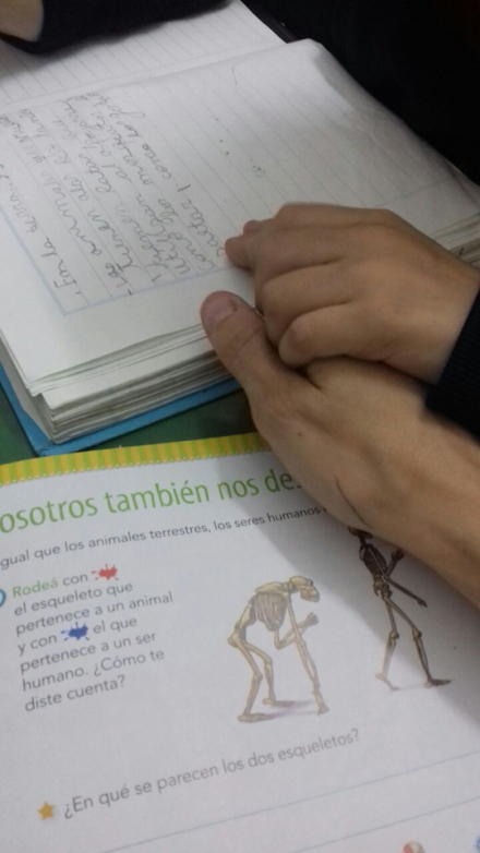 Integracion Educativa .jpg