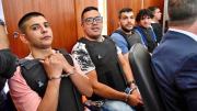 los monos.jpg