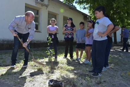 arbol2.jpg