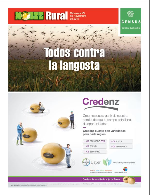 Todos contra la langosta